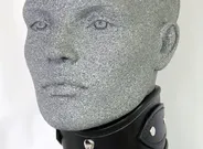 Posture Collar